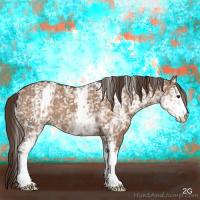 Horse Color:White Spotted Liver Red Dun 