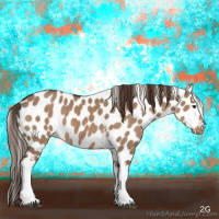 Horse Color:White Spotted Liver Red Dun Appaloosa 