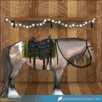 Horse Color:Brown Roan Dun Appaloosa