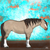 Horse Color:White Spotted Liver Red Dun Tobiano 