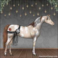 Horse Color:White Spotted Buckskin Pearl Mushroom Appaloosa 