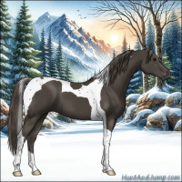 Horse Color:Smoky Black Tobiano
