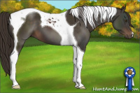 Horse Color:Liver Chestnut Tobiano 