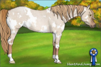 Horse Color:White Spotted Red Dun Roan 