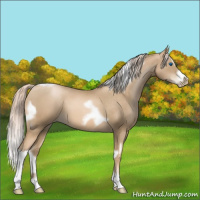Horse Color:Chocolate Palomino Pearl Tobiano Frame  and Chocolate Palomino Pearl Splash Tobiano Frame 