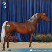 Horse Color:Silver Bay 