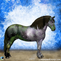 Horse Color:ERROR: UNKNOWN ANOMALY