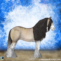 Horse Color:Sable Champagne Dun Sabino Splash Rabicano 