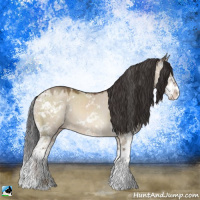 Horse Color:Sable Champagne Dun Sabino 
