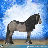Horse Color:Grullo Sabino Rabicano 