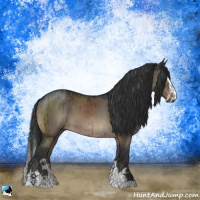 Horse Color:Brown Dun Sabino Splash Brindle 