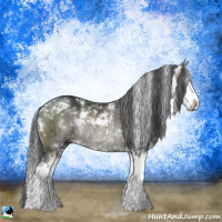 Horse Color:Grullo Sabino Splash Rabicano Brindle 
