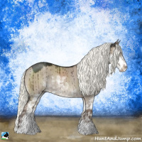 Horse Color:Liver Red Dun Mushroom Sabino Rabicano Brindle