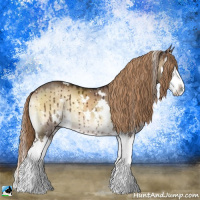 Horse Color:White Spotted Liver Red Dun Onyx Sabino Splash Brindle 