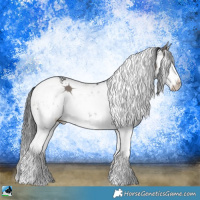 Horse Color:Grullo Mushroom Sabino Rabicano Brindle