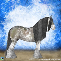 Horse Color:Grullo Sabino Rabicano