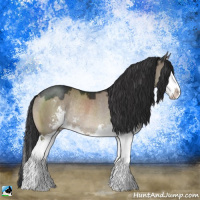 Horse Color:Brown Dun Sabino Splash Rabicano 