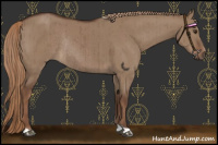 Horse Color:Liver Red Dun Rabicano Brindle 
