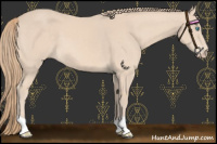 Horse Color:Chocolate Perlino 