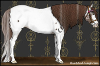 Horse Color:White Spotted Liver Chestnut Splash Appaloosa