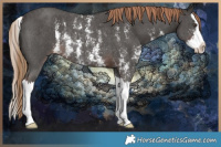 Horse Color:Liver Chestnut Sabino Splash Rabicano 