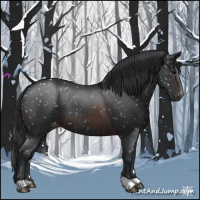 Horse Color:Brown Appaloosa