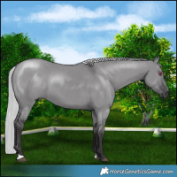 Horse Color:Silver Smoky Grullo Chinchilla