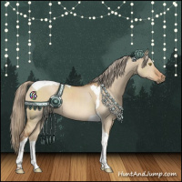 Horse Color:Red Dun Tobiano Rabicano 
