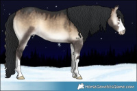 Horse Color:Brown Onyx 