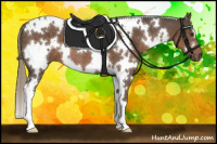 Horse Color:White Spotted Liver Chestnut Mushroom 