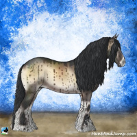 Horse Color:Brown Onyx Sabino Rabicano Brindle 