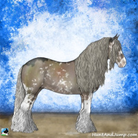Horse Color:Liver Red Dun Mushroom Sabino Splash Rabicano 