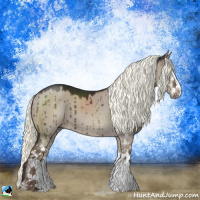 Horse Color:Liver Red Dun Mushroom Sabino Brindle 
