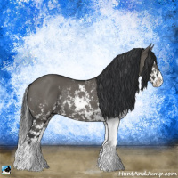 Horse Color:Grullo Mushroom Sabino Splash Rabicano 