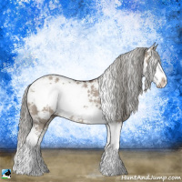 Horse Color:Liver Red Dun Mushroom Sabino Splash Rabicano 