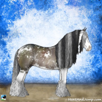 Horse Color:Brown Dun Mushroom Sabino Splash Rabicano 