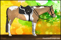 Horse Color:Sable Cream Champagne Tobiano 