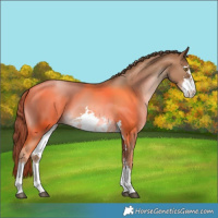 Horse Color:White Spotted Liver Chestnut Pearl 