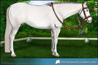 Horse Color:Platinum White Spotted Buckskin Pearl Mushroom 