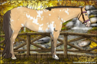 Horse Color:White Spotted Amber Cream Champagne 