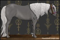 Horse Color:Platinum Chocolate Palomino 