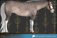 Horse Color:Platinum Chocolate Palomino Splash