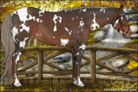 Horse Color:White Spotted Liver Chestnut Varnish 