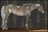 Horse Color:Platinum White Spotted Silver Black