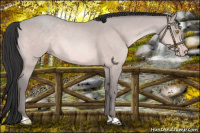 Horse Color:Platinum Amber Champagne 