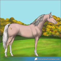 Horse Color:Silver Classic Cream Champagne Tobiano 