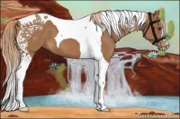 Horse Color:Chestnut Tobiano 