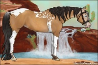 Horse Color:Gray Amber Champagne Tobiano 