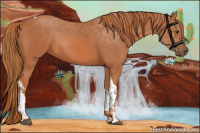 Horse Color:Chestnut Tobiano 