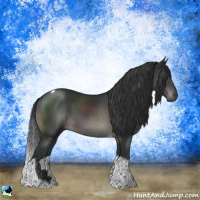Horse Color:Platinum Brown Tobiano Rabicano 